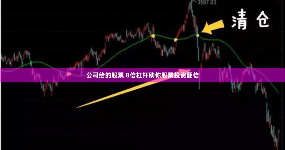 公司给的股票 8倍杠杆助你股票投资翻倍